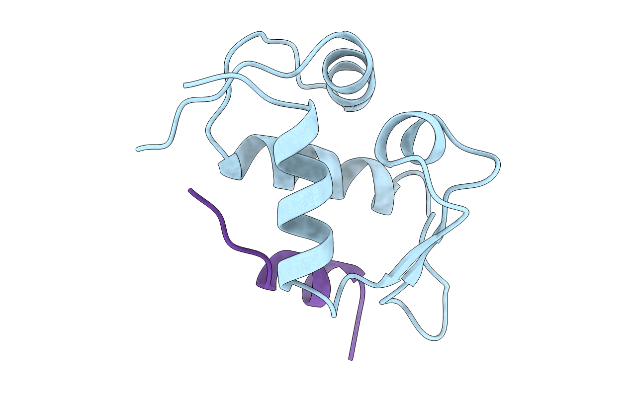 1YCR image
