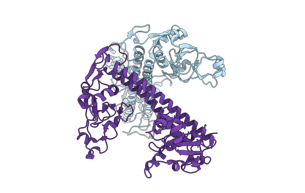 1YF2 image