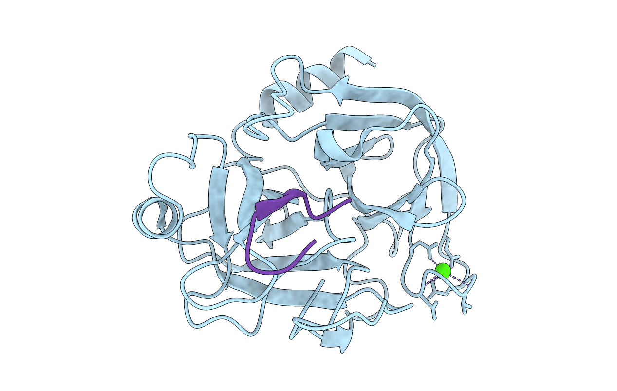 1YF4 image
