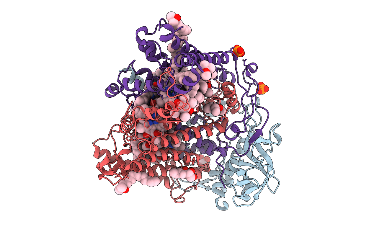 1YF6 image