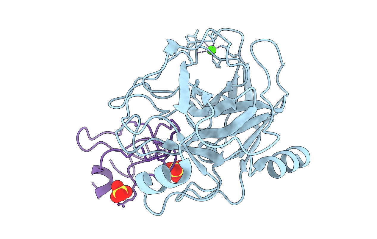 1YLC image