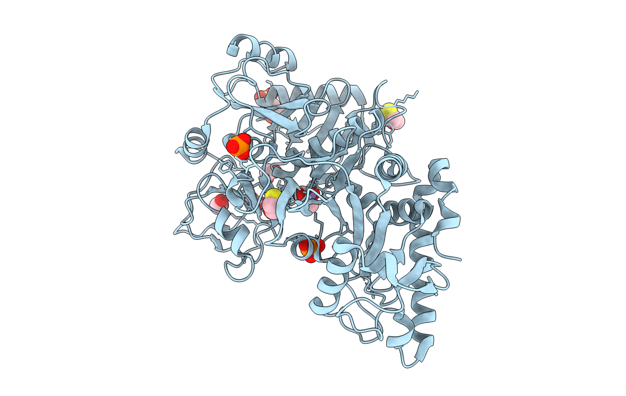 1YLH image