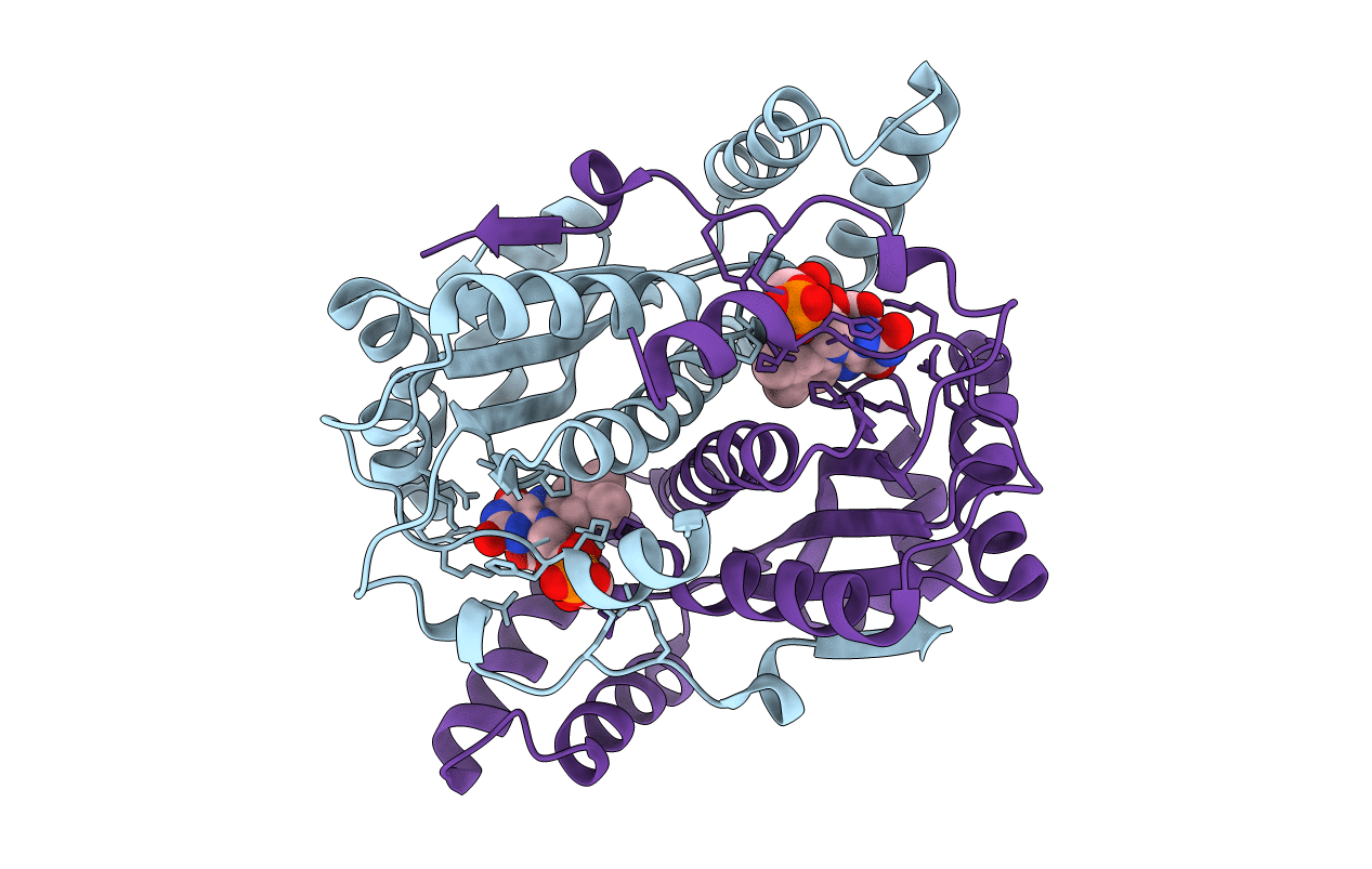 1YLR image