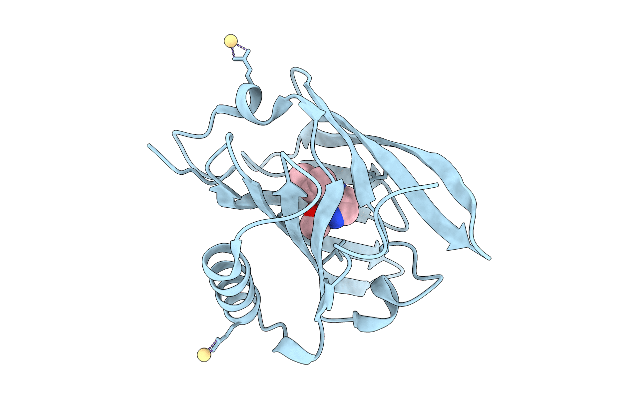 1YP6 image