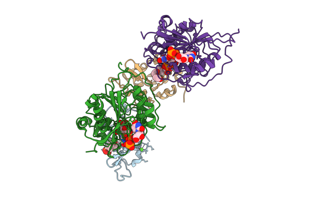 1YRO image