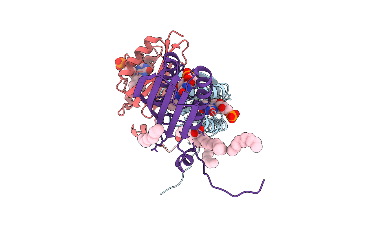 1YRX image