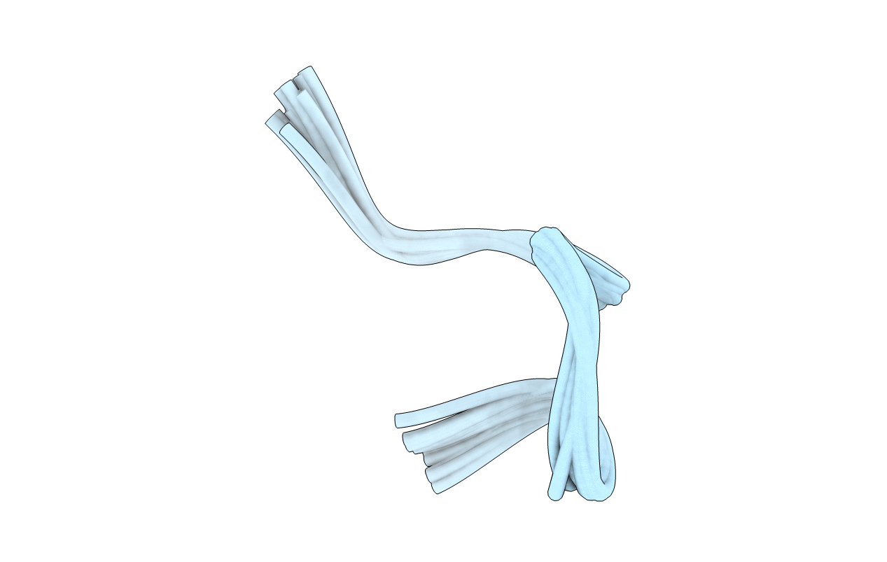 1YY1 image