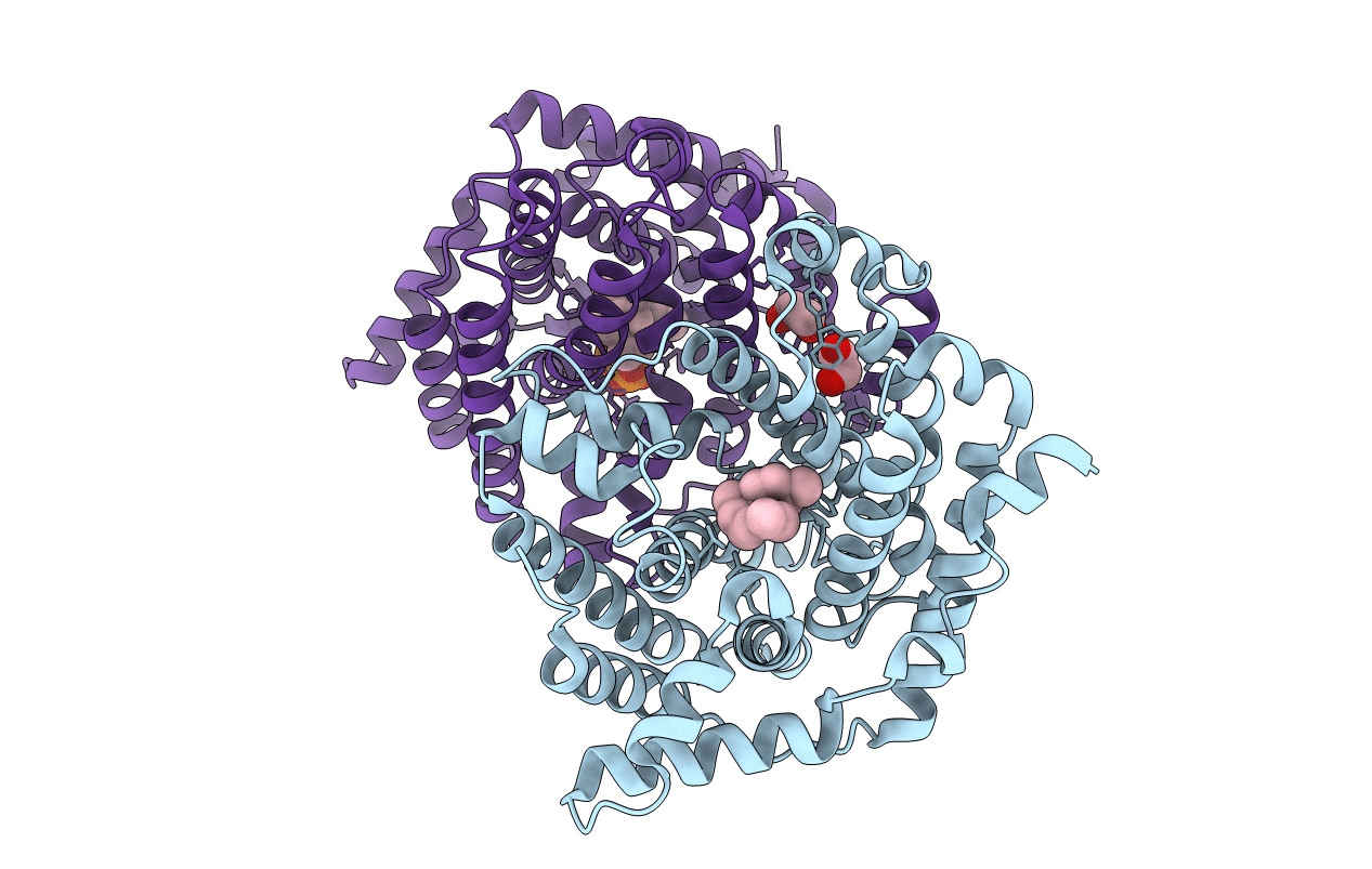 1YYR image