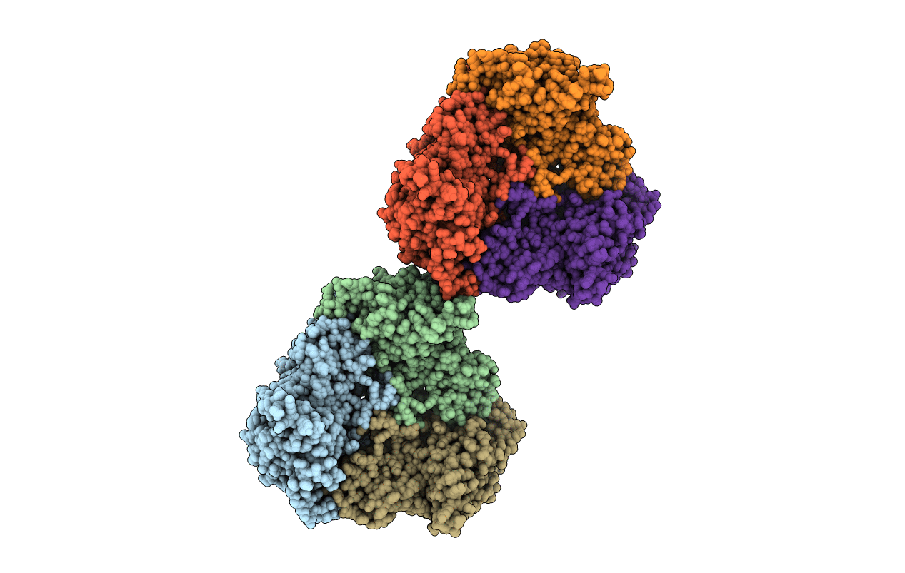 1Z02 image