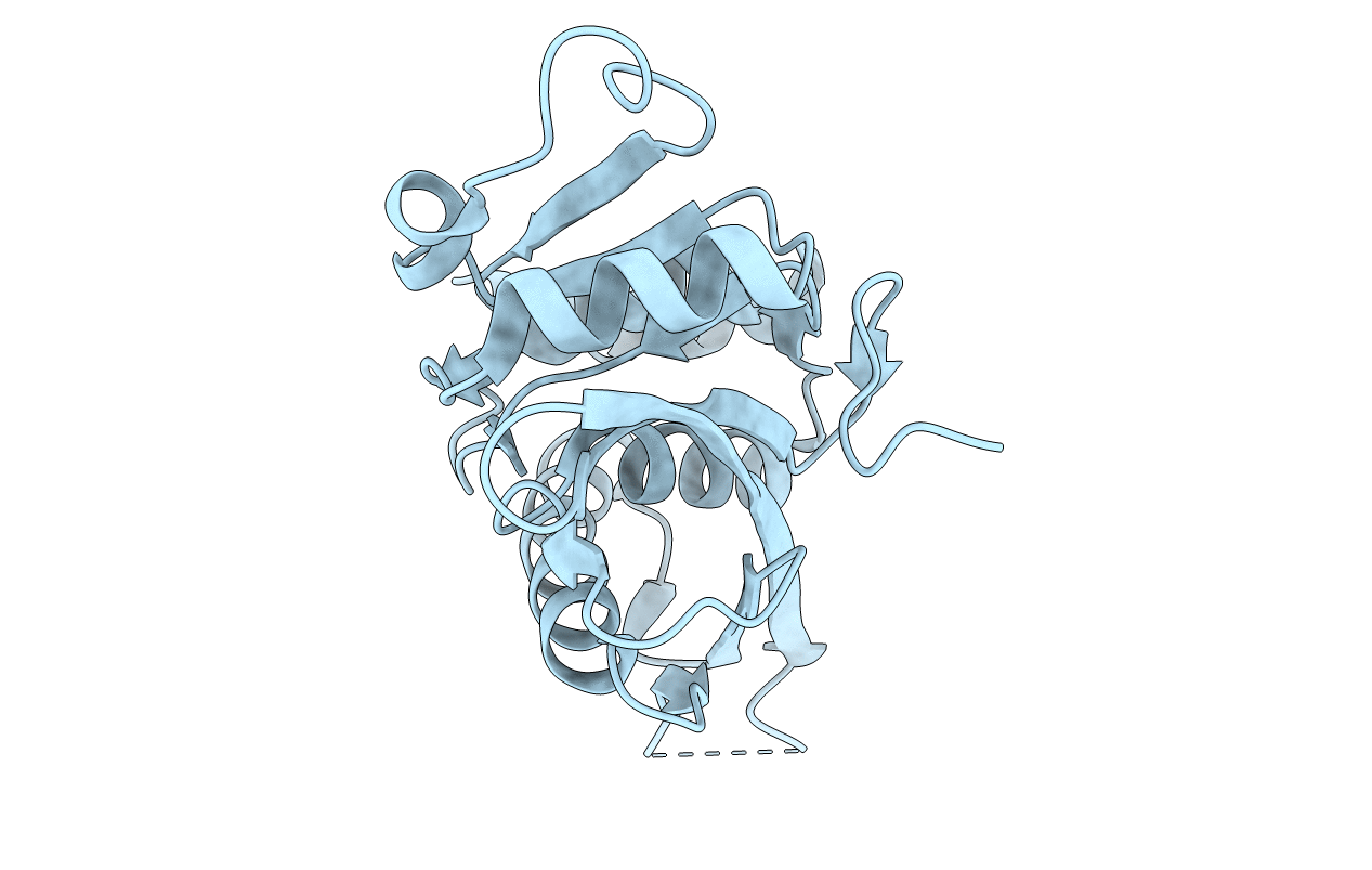 1Z0C image