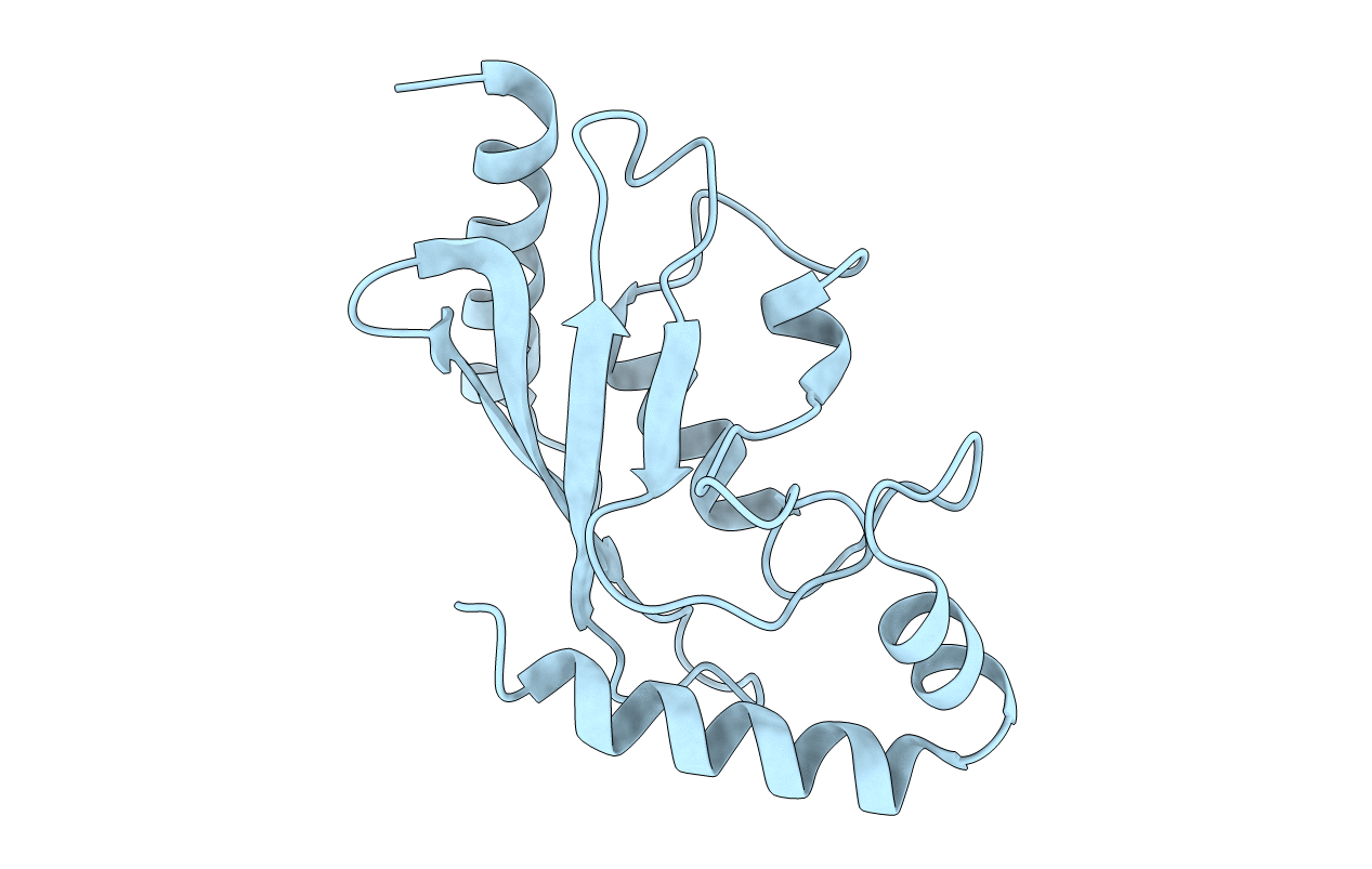 1Z3D image