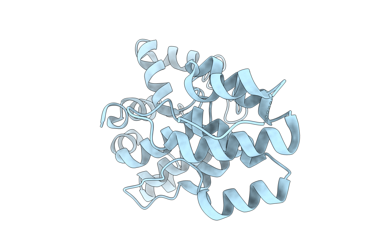 1Z3X image