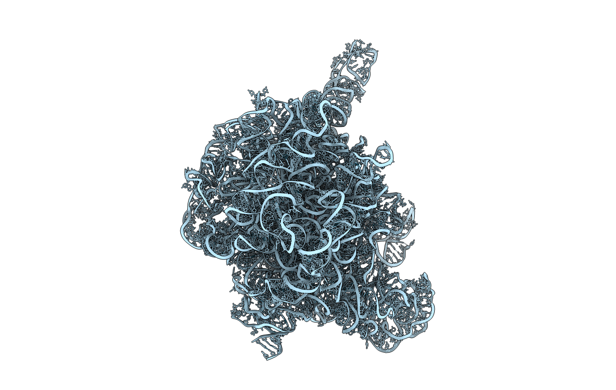 1Z58 image