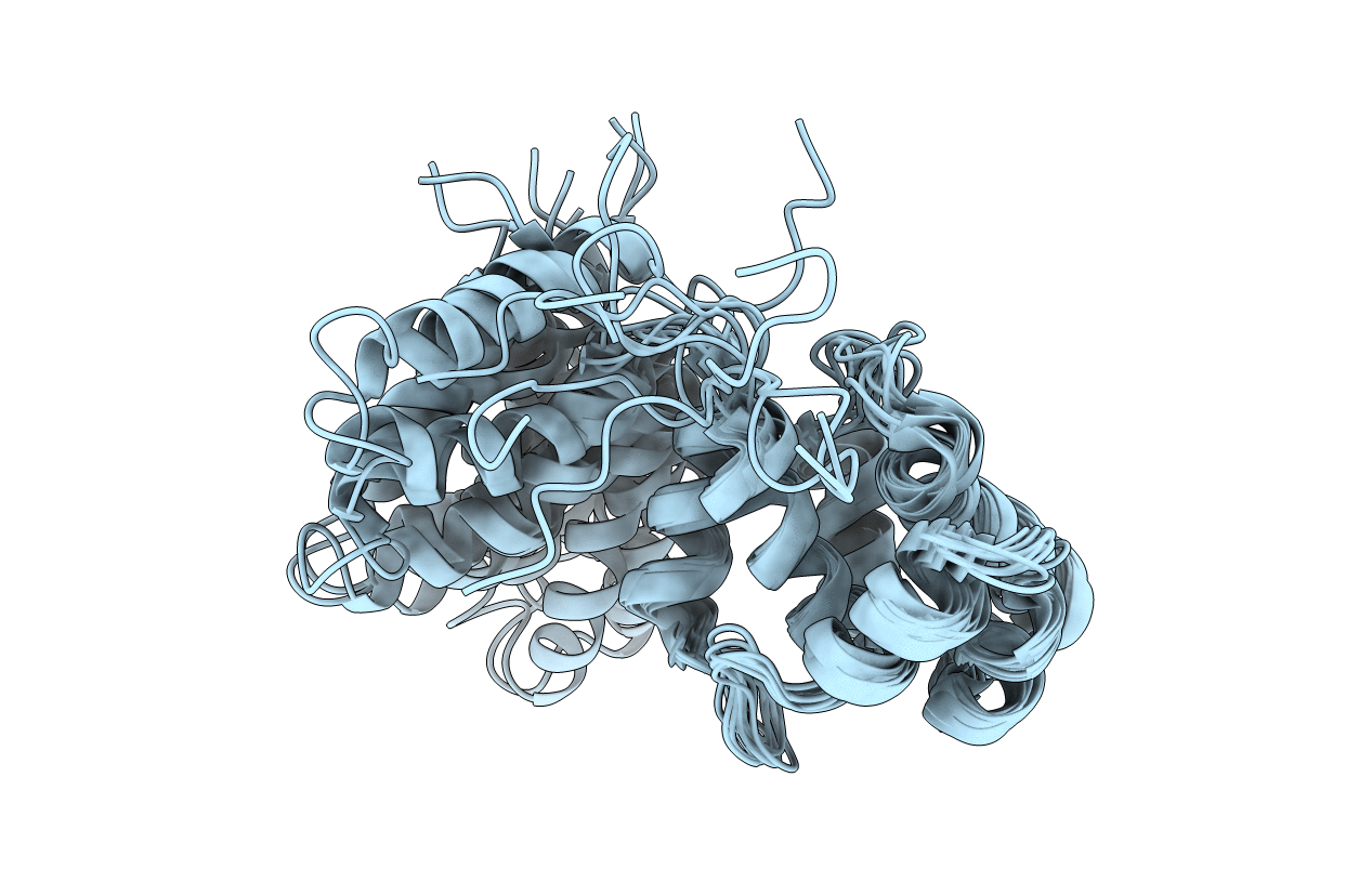 1Z8S image