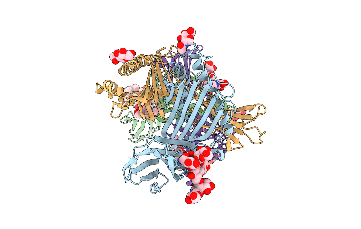 1ZAG image