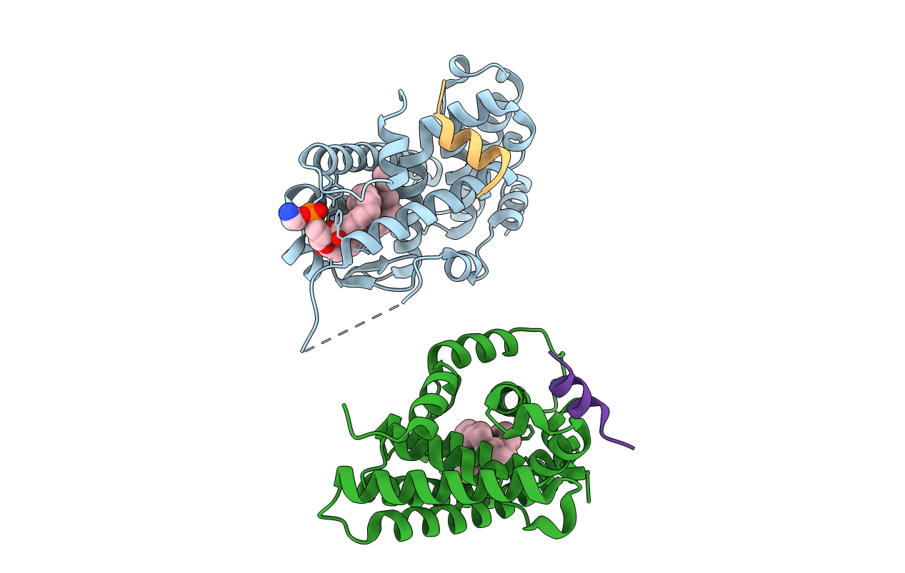1ZDT image