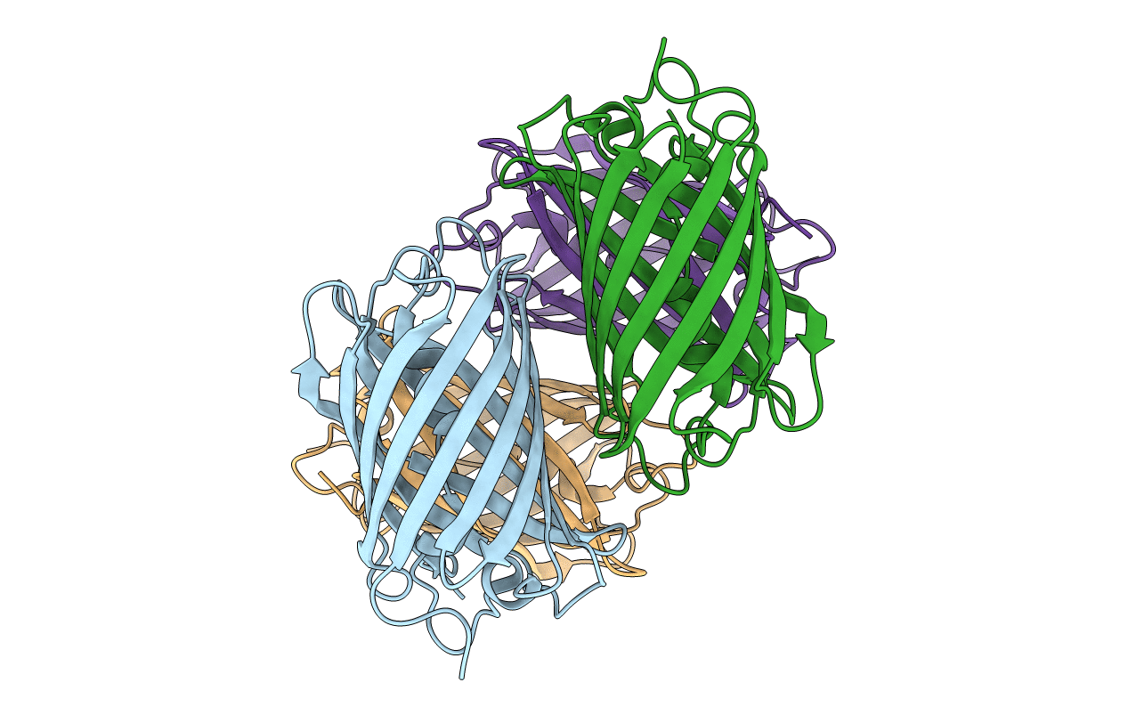 1ZGP image