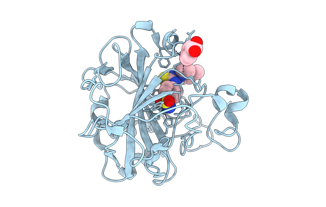 1ZH9 image