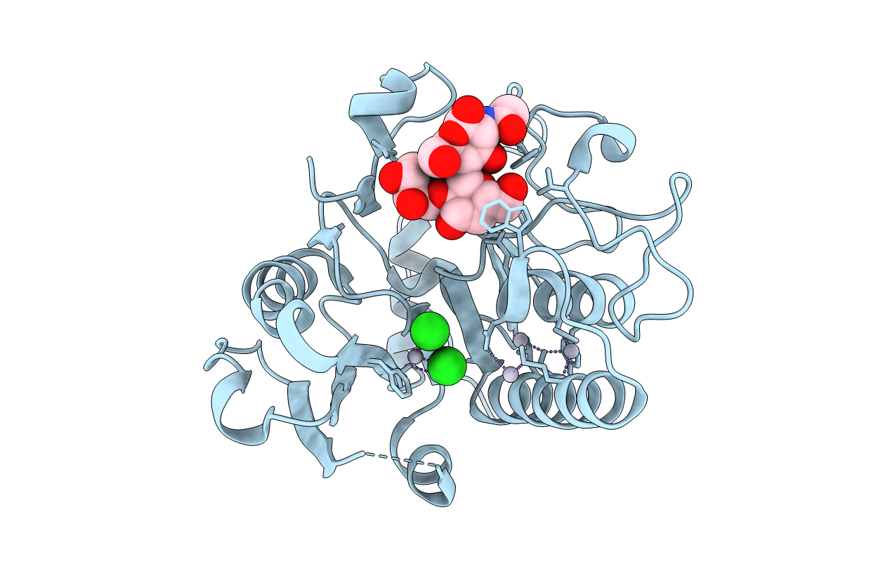1ZJ3 image