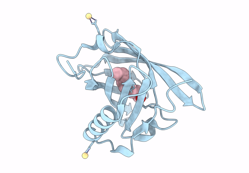 1ZNK image