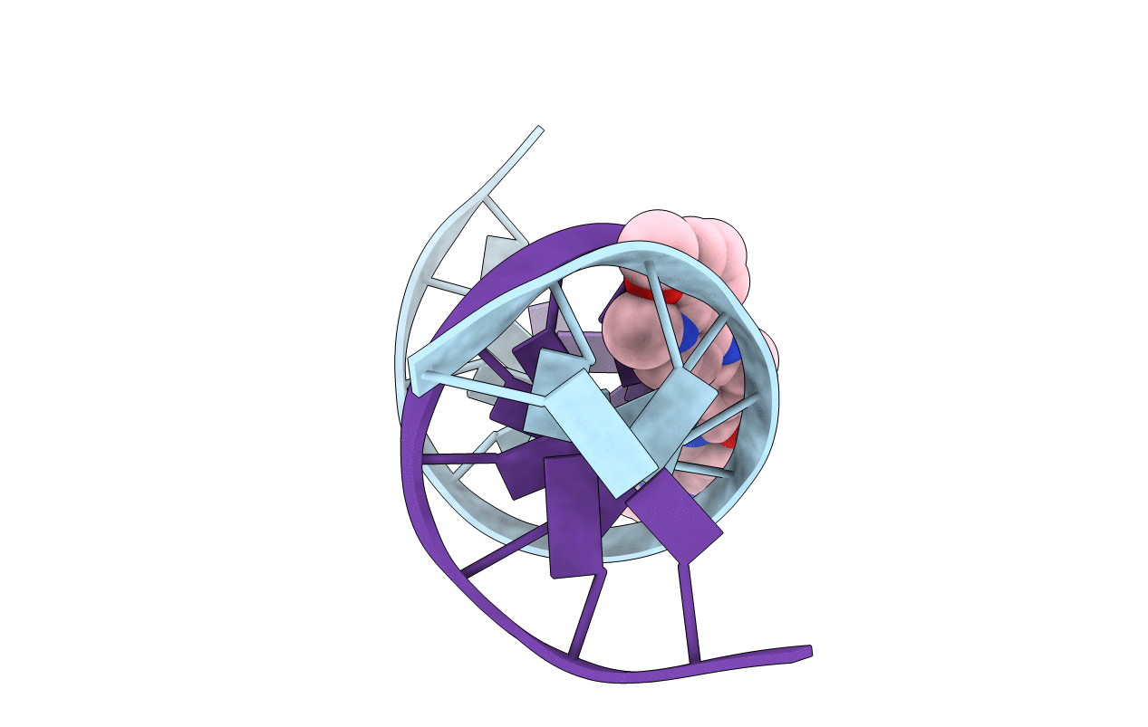 1ZPI image