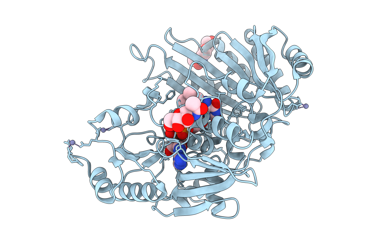 1ZR6 image