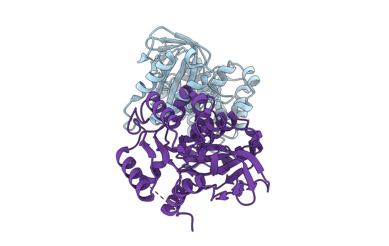 1ZRS image
