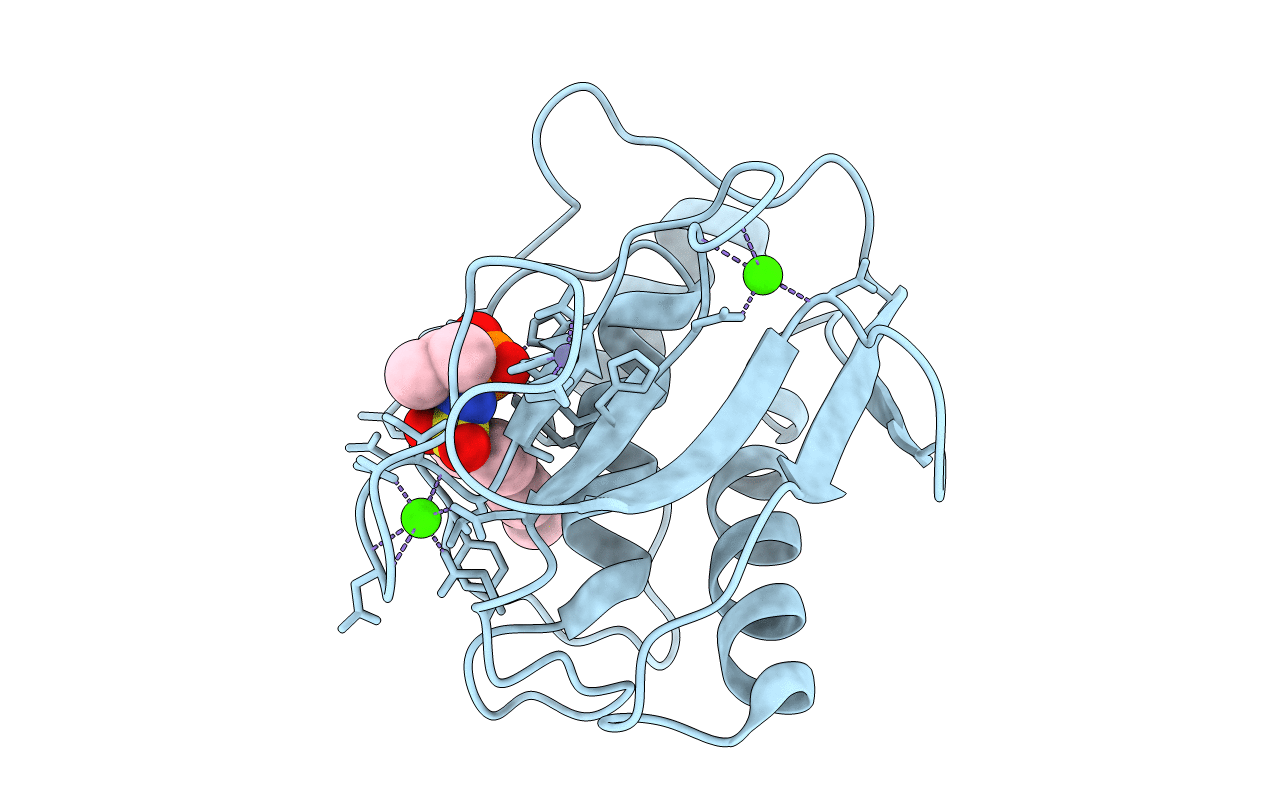 1ZVX image