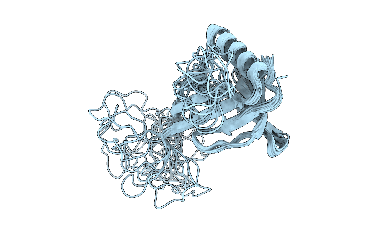 1ZYI image