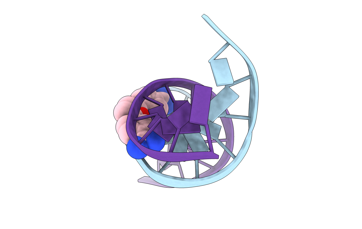 227D image