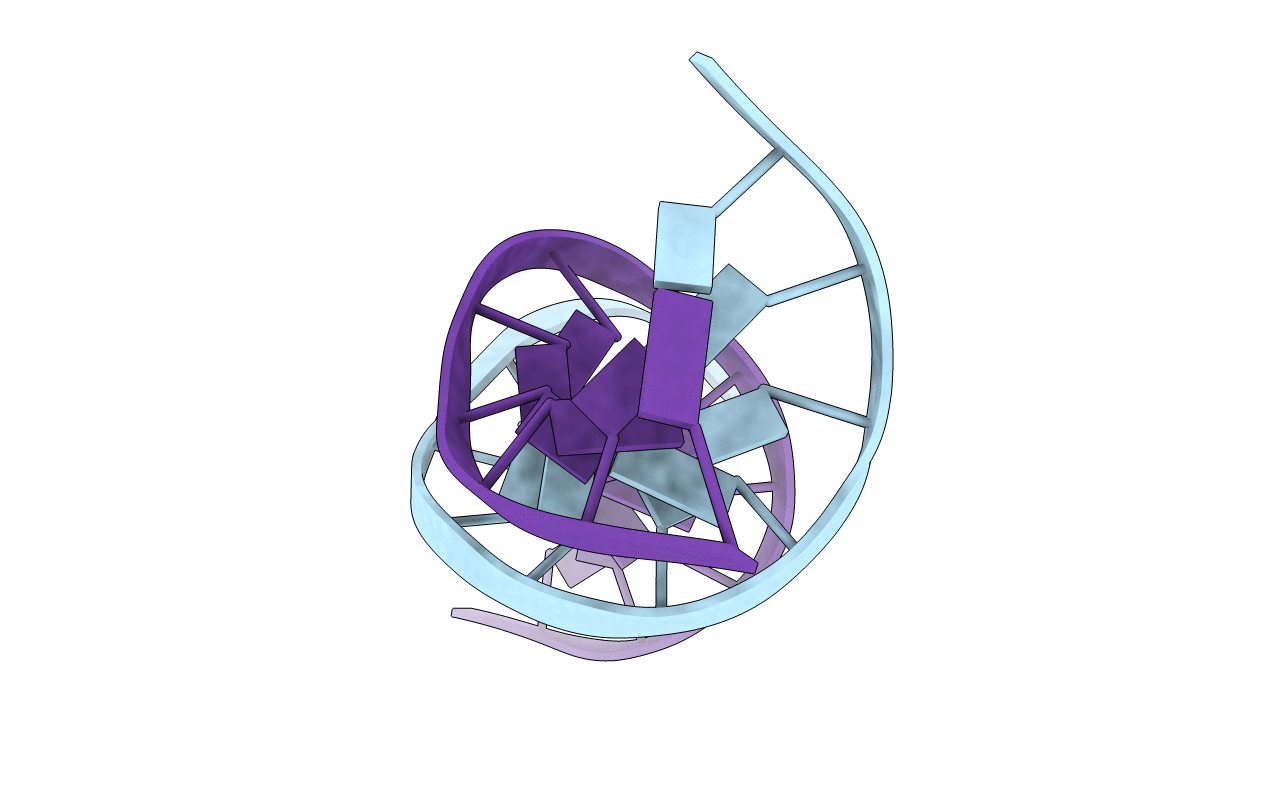 233D image
