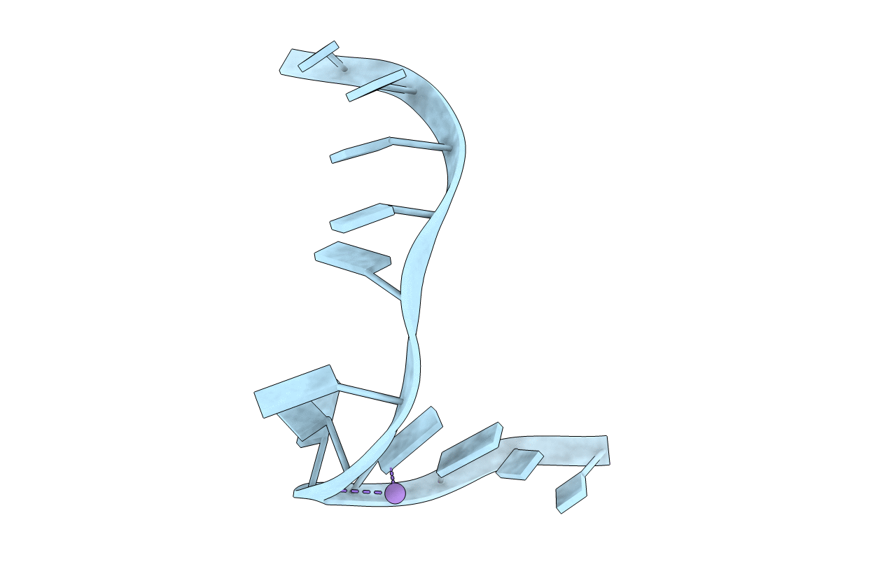 283D image