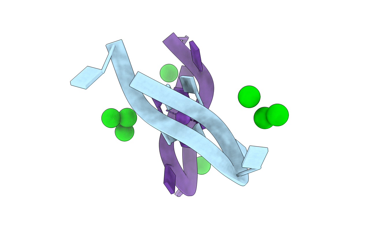 284D image