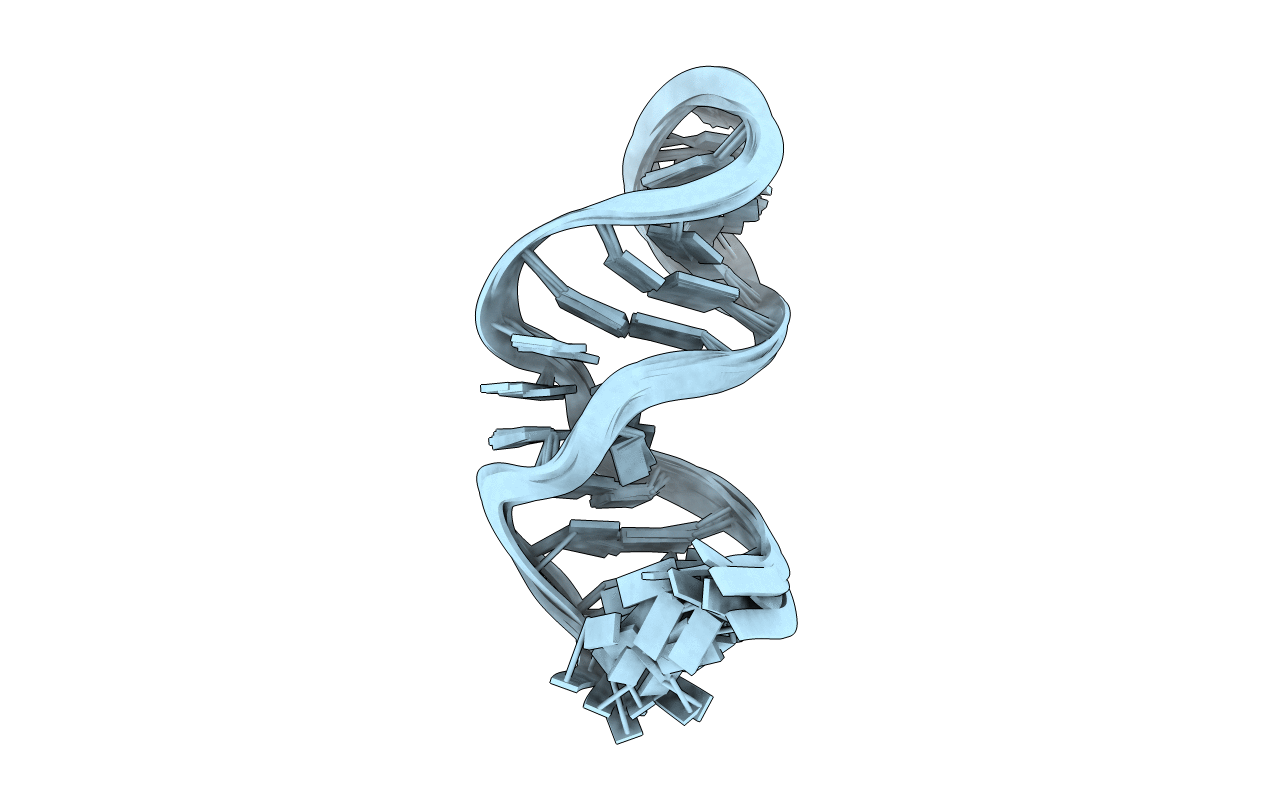 28SP image