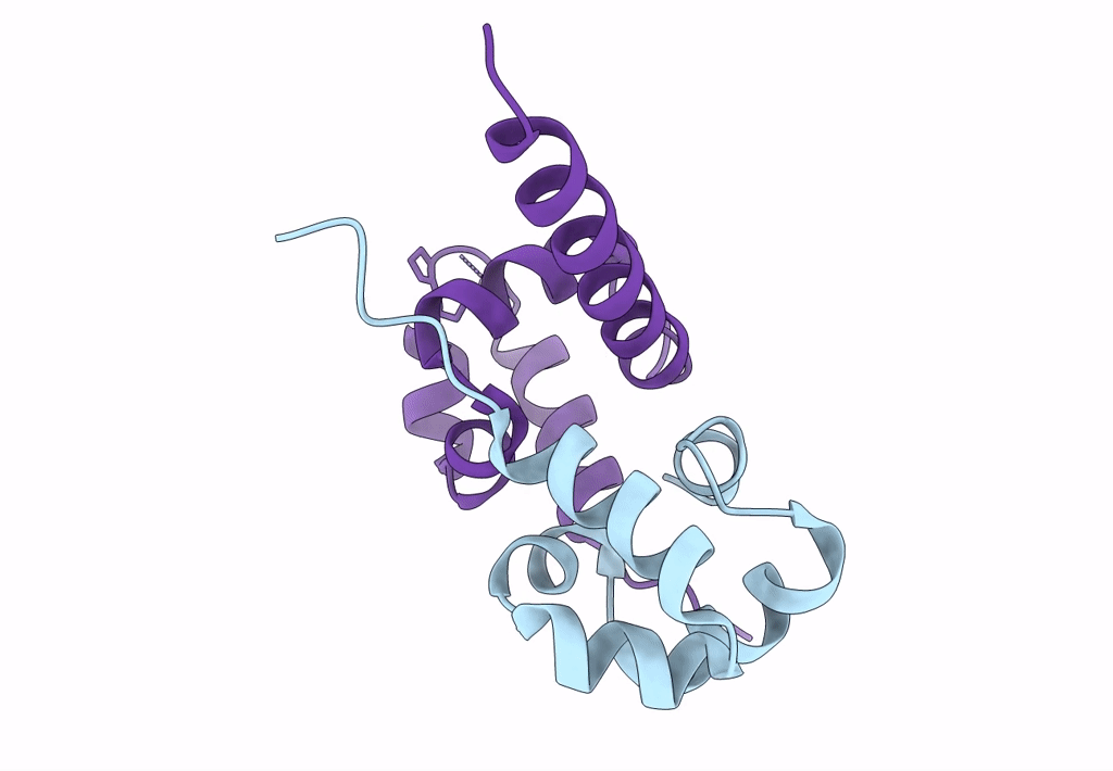 2A1J image