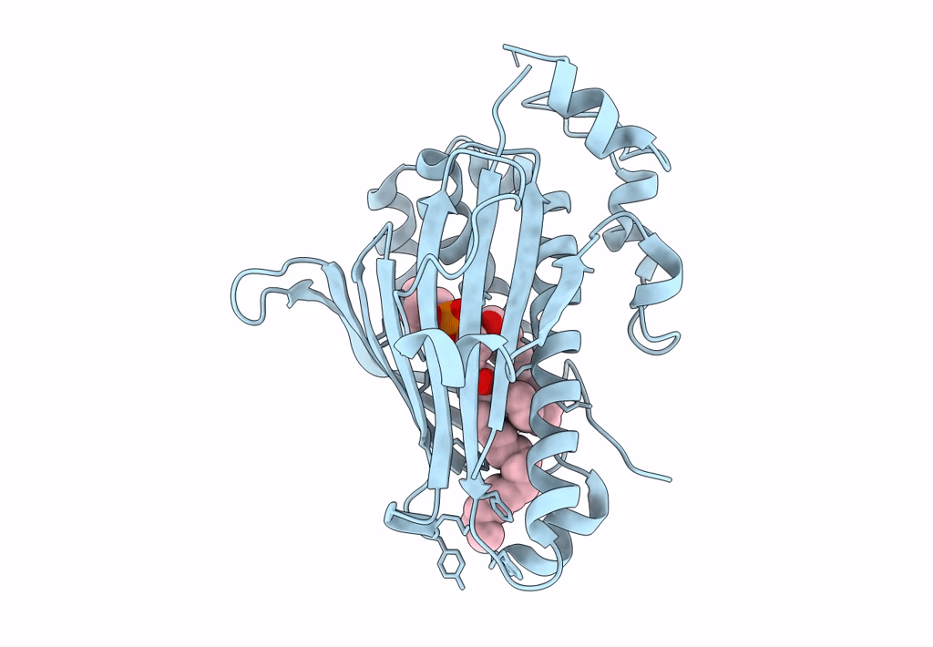 2A1L image