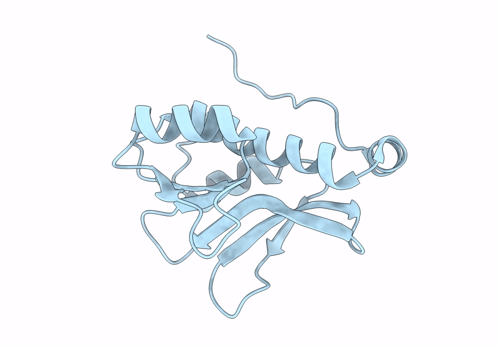 2A1V image
