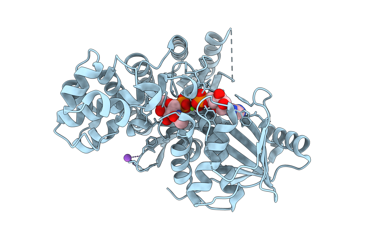 2A2C image