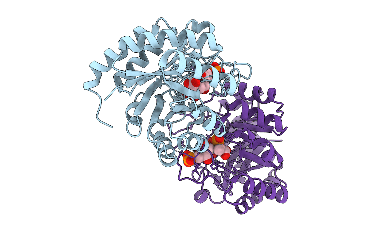 2A2I image