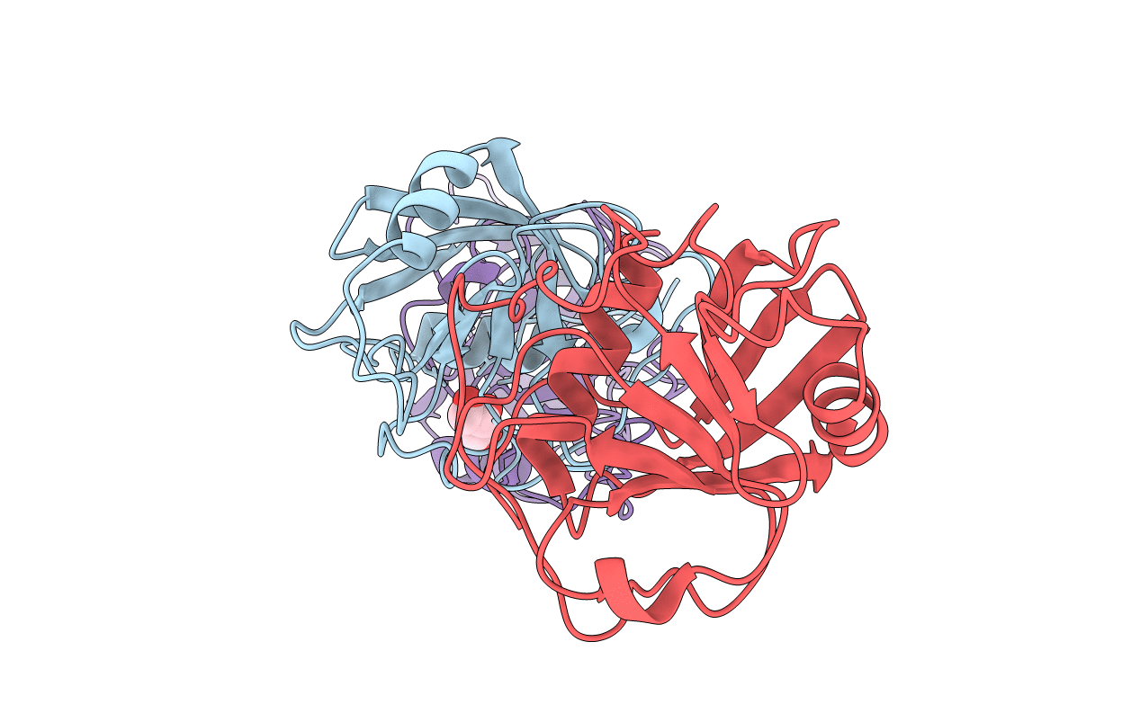 2A2N image