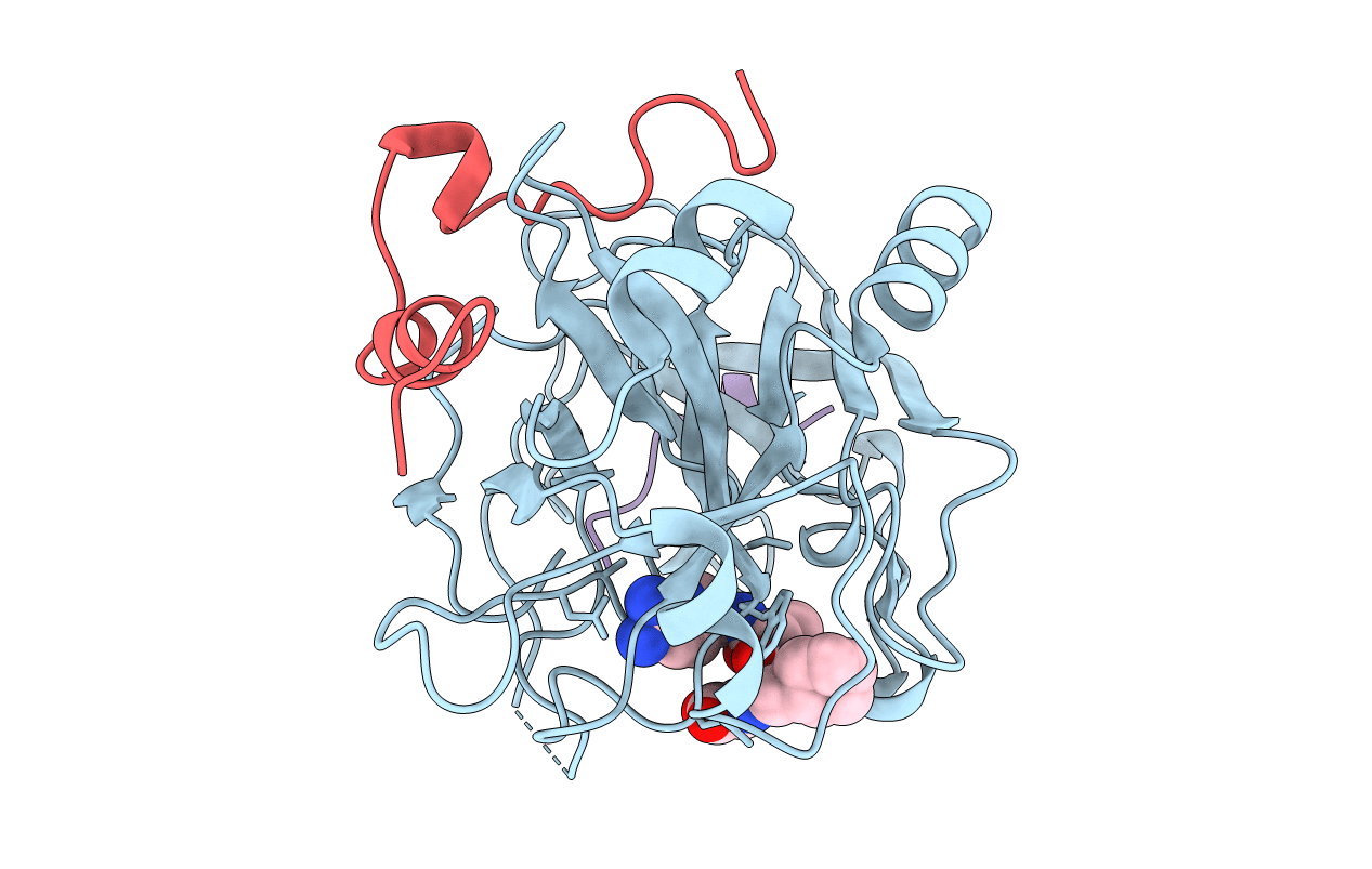 2A2X image