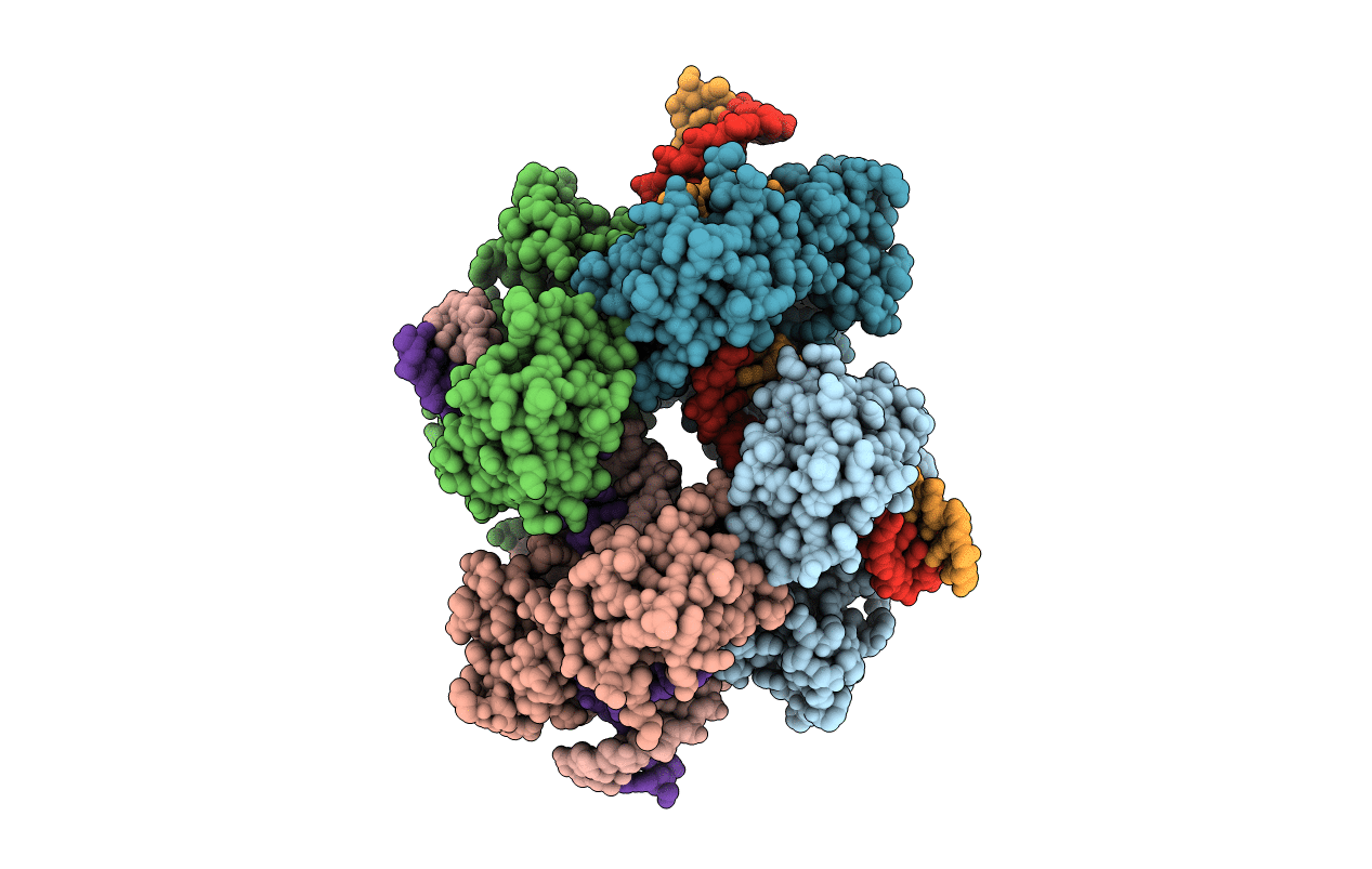 2A3V image