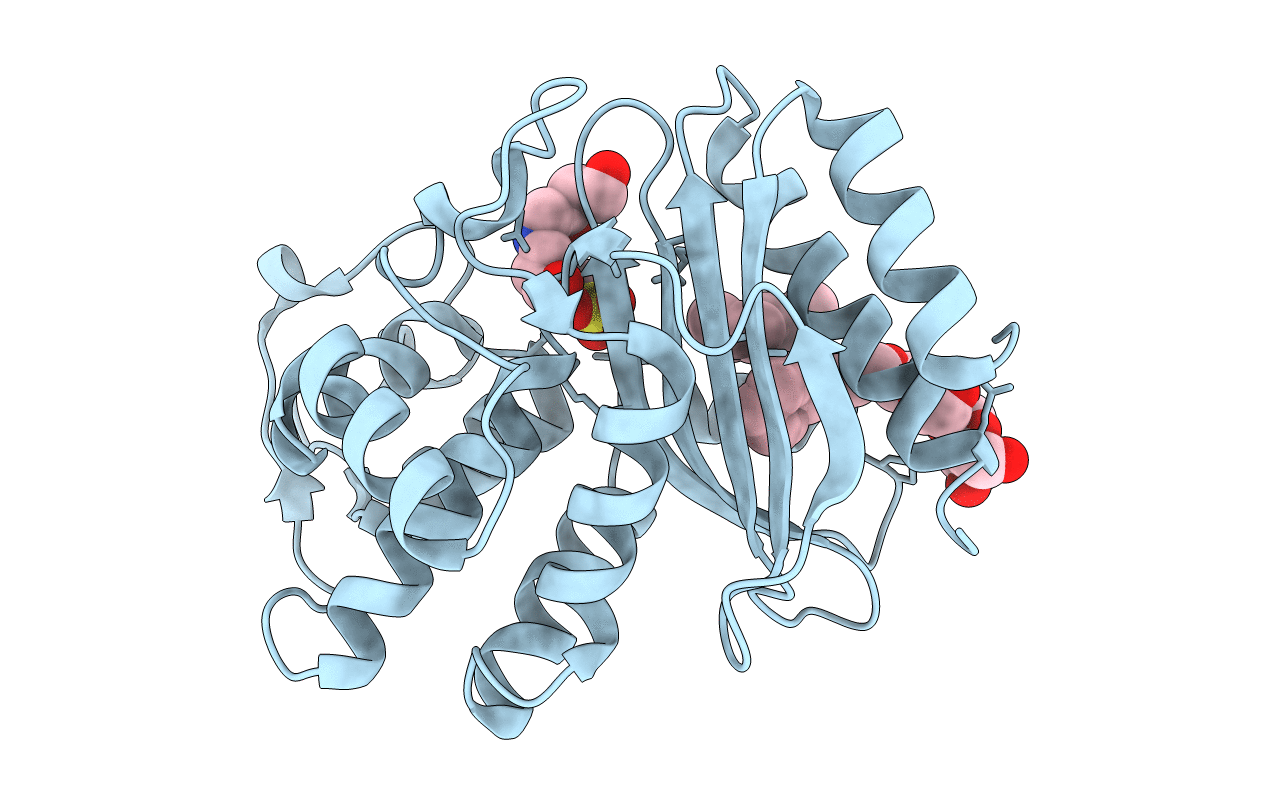 2A49 image