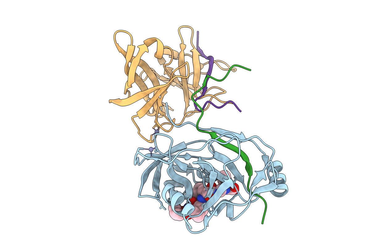 2A4R image