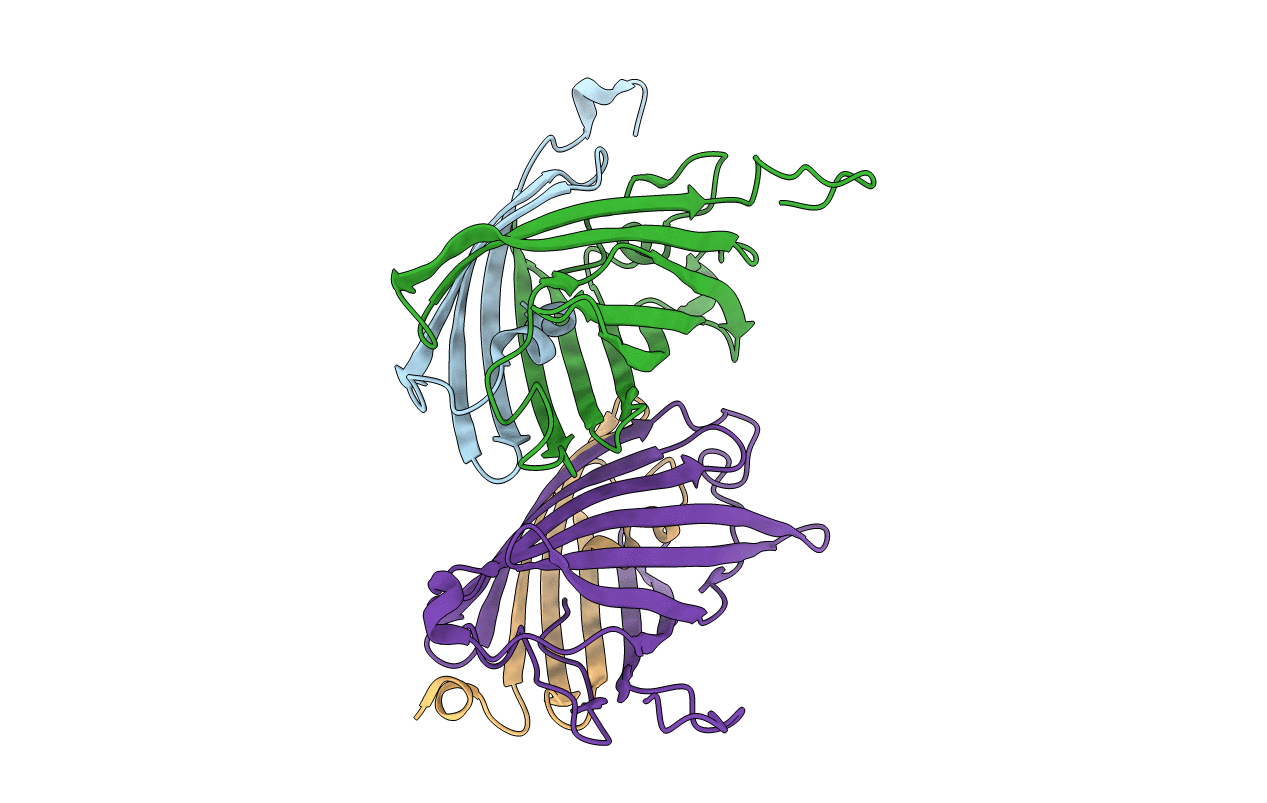 2A52 image