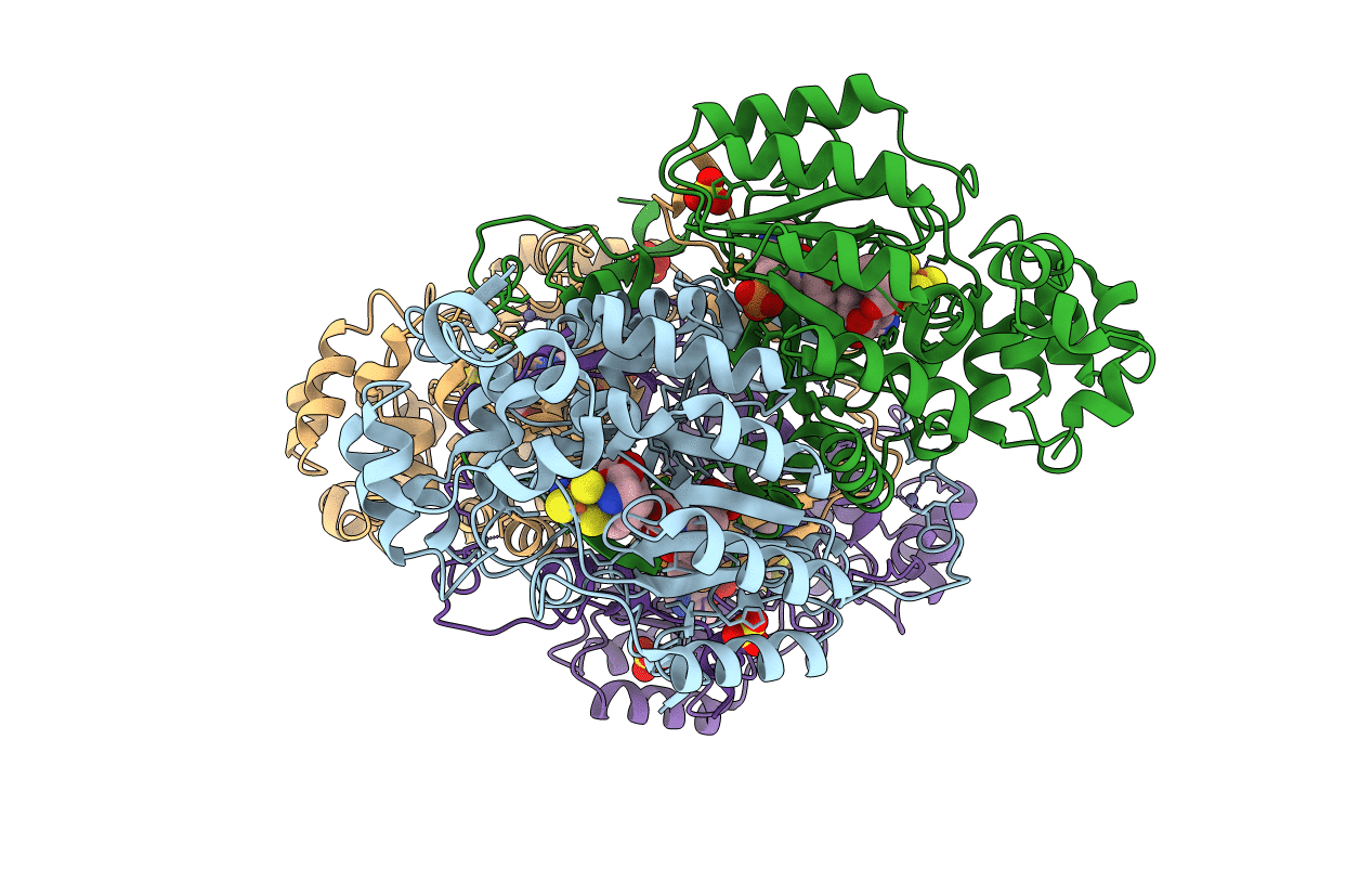 2A5H image