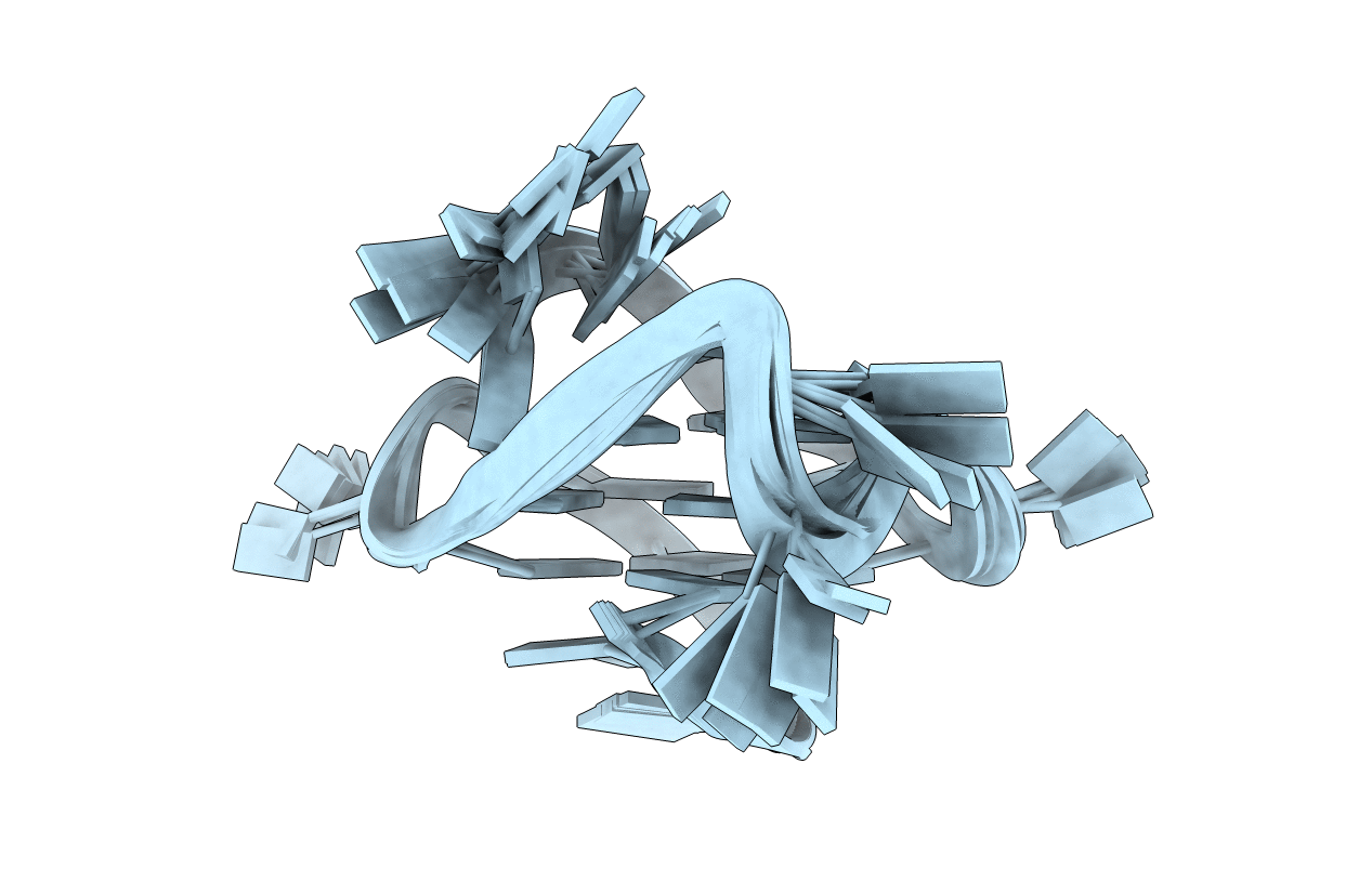 2A5P image