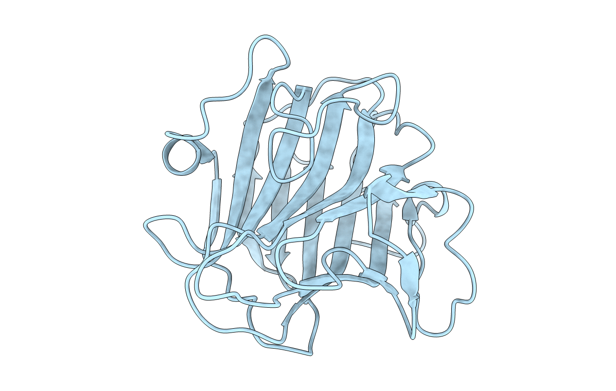 2A6Z image