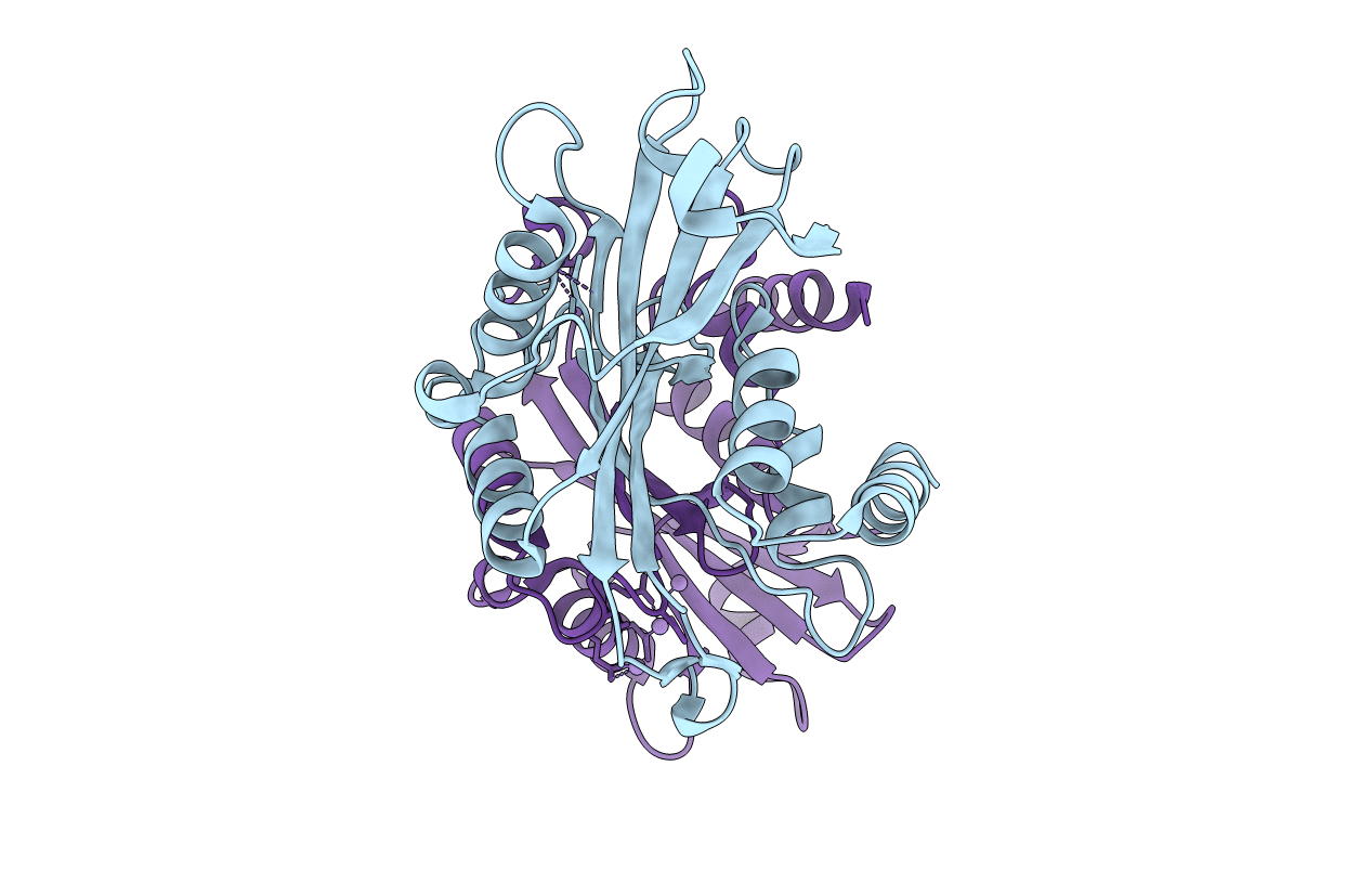 2A8P image