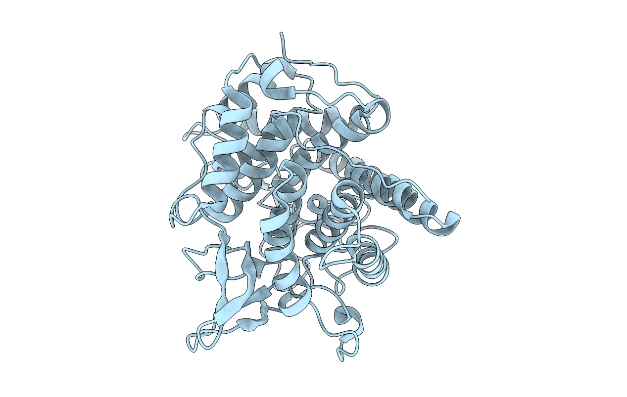 2A8Z image